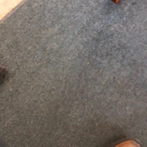 Meet your Posher, Tasha